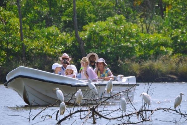 Birdwatching at Muthurajawela Marsh