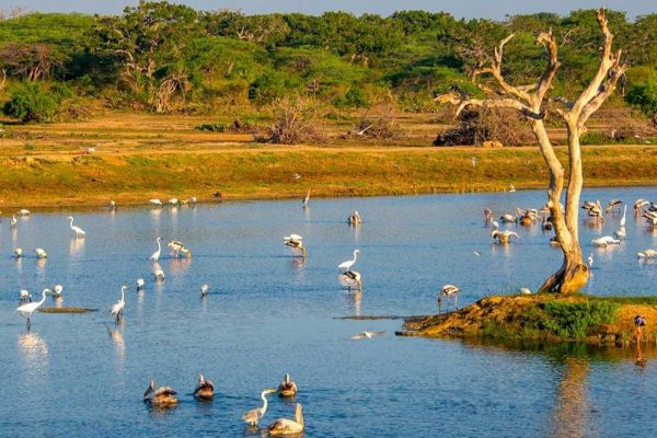 Bundala National Park
