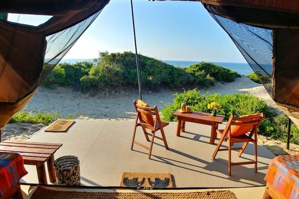 Camping and Glamping in Yala