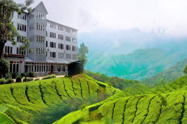 Ceylon Tea Museum