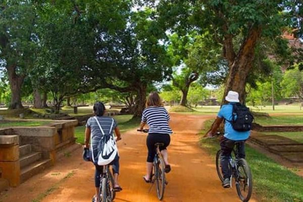 Cycling Tours