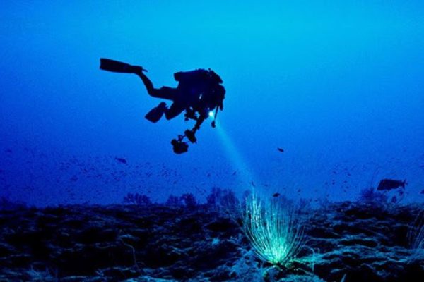 Diving