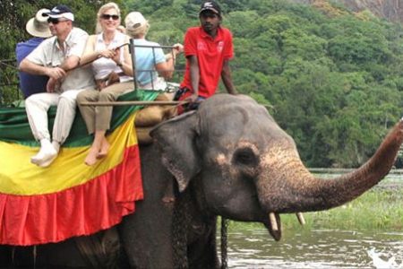 Elephant Back Safari