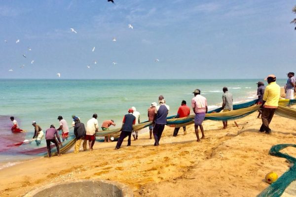 Fishing with Local Fishermen