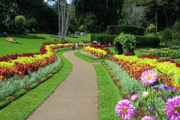 Hakgala Botanical Garden