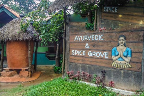 Herbal & Spice Garden