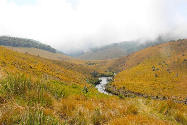 Horton Plains National Park