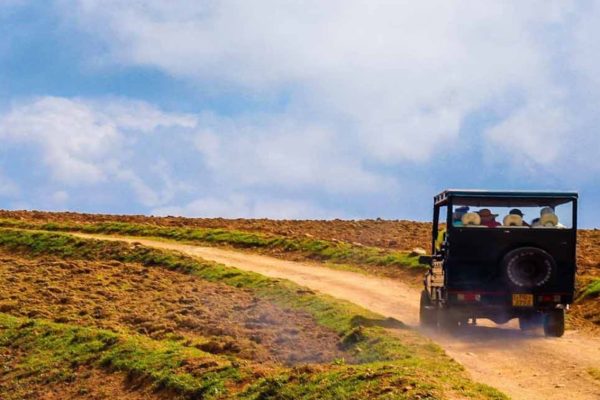 Jeep Safari in Moon Plains