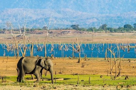Kumana National Park