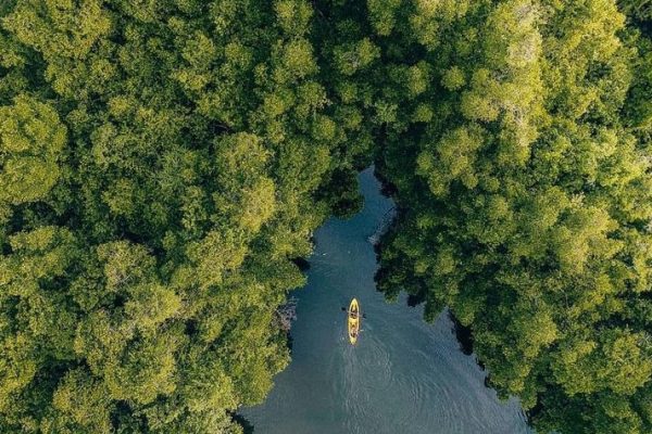 Madu River