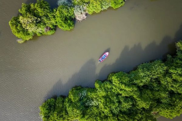 Muthurajawela Marsh
