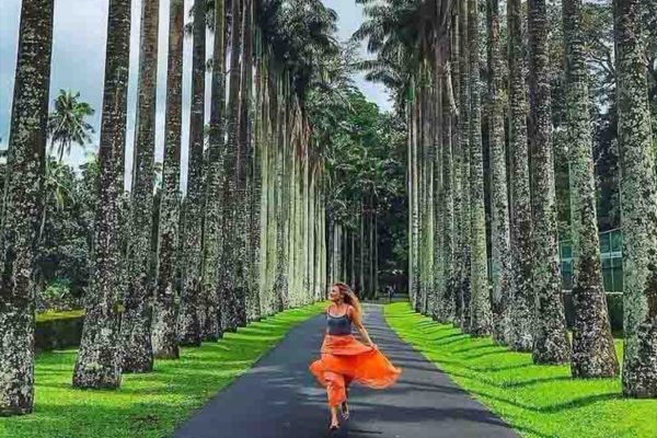 Peradeniya Botanical Gardens