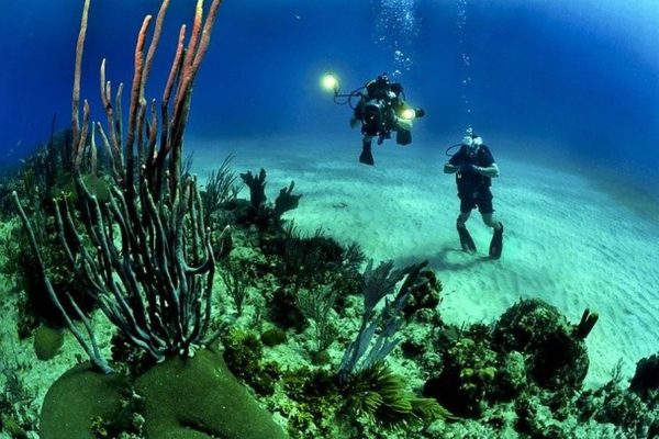 Scuba Diving