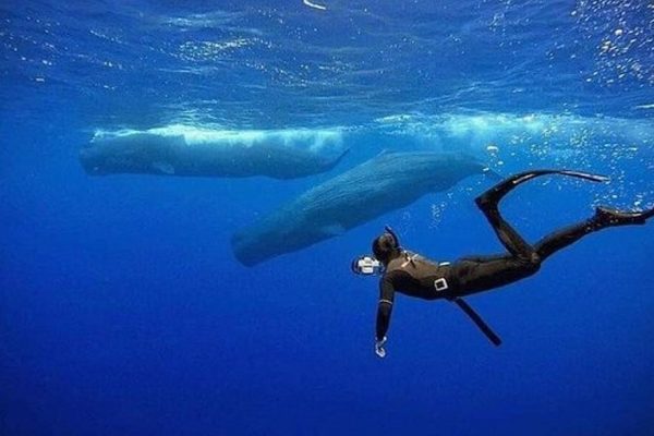 Scuba Diving