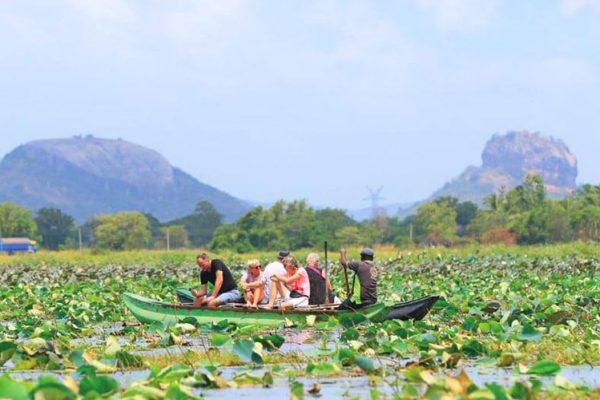 Sigiriya Village Tour
