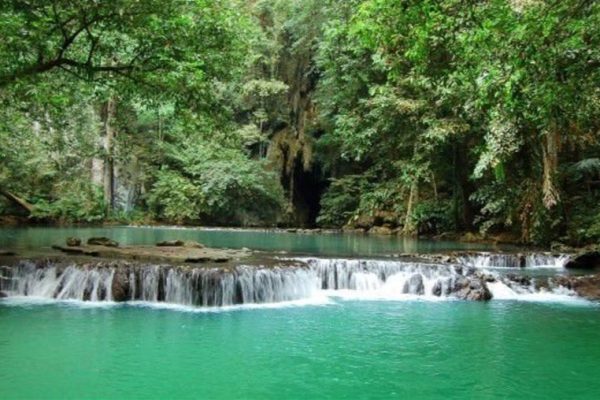 Sinharaja Rain Forest Reserve