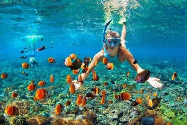 Snorkeling & Diving