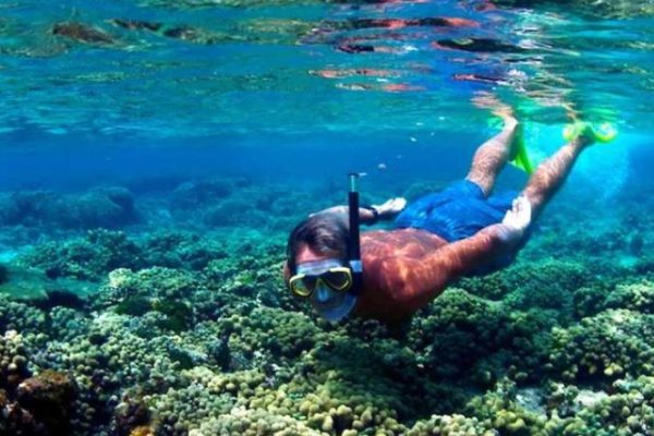 Snorkeling