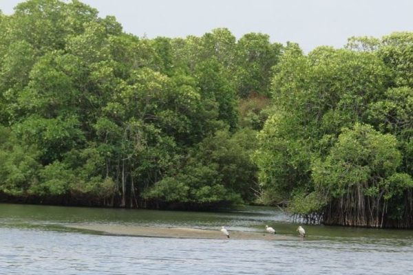 Tangalle Lagoon