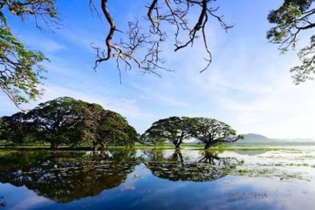 Tissa Lake