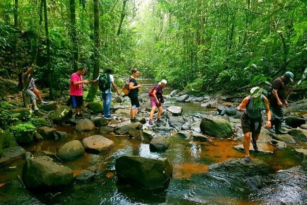 Trekking in Sinharaja Rain Forest