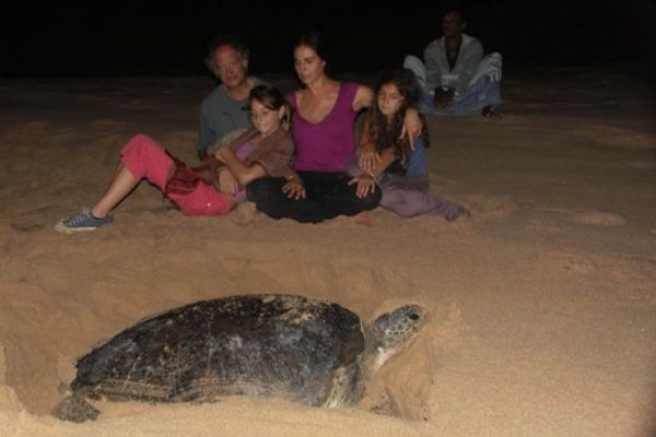 Turtle Watching at Rekawa Beach