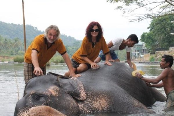 Wash The Elephants