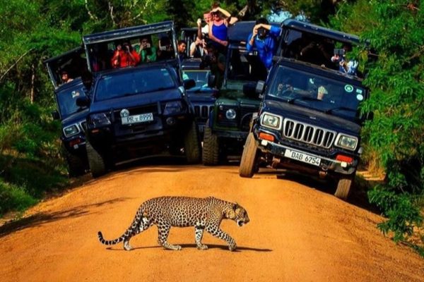 Yala National Park