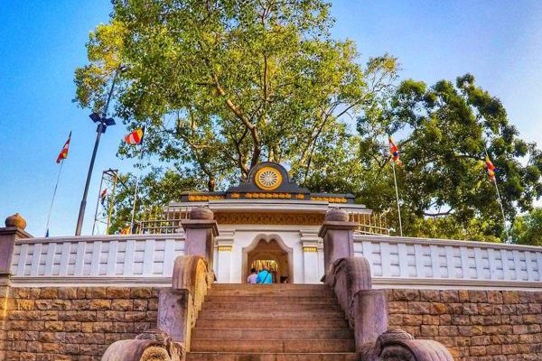 jayasrimahabodi2